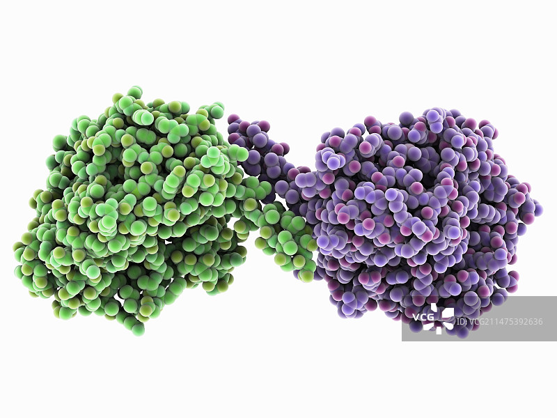 古生菌脱氢酶图片素材