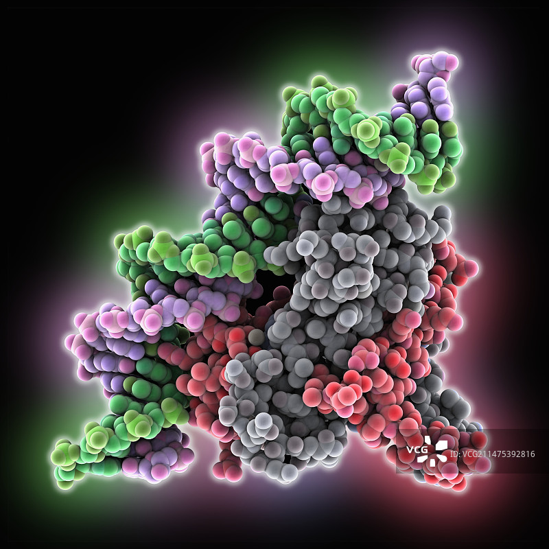 与DNA复合的Fis核蛋白图片素材