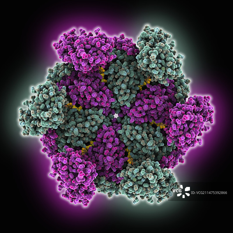 P97 ATP酶分子图片素材