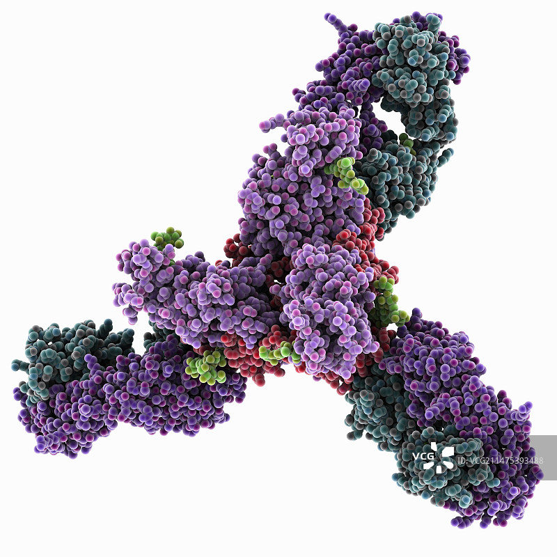 埃博拉病毒糖蛋白复合物图片素材