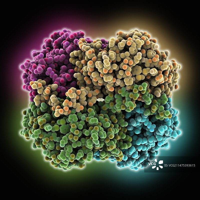 乳酸脱氢酶分子图片素材
