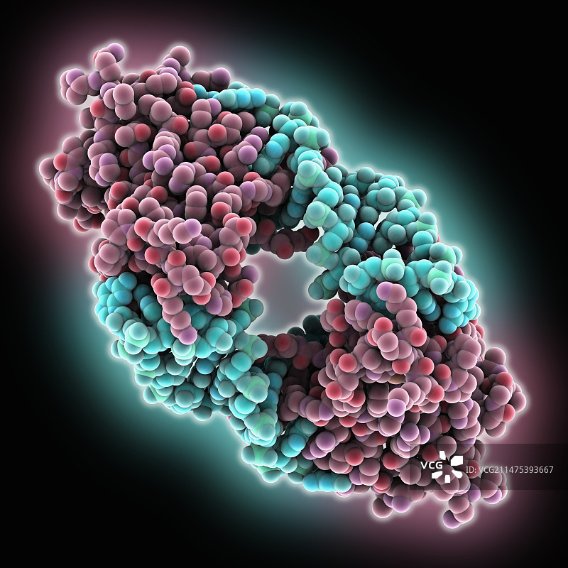 抑制剂Lin28 microRNA复合物图片素材