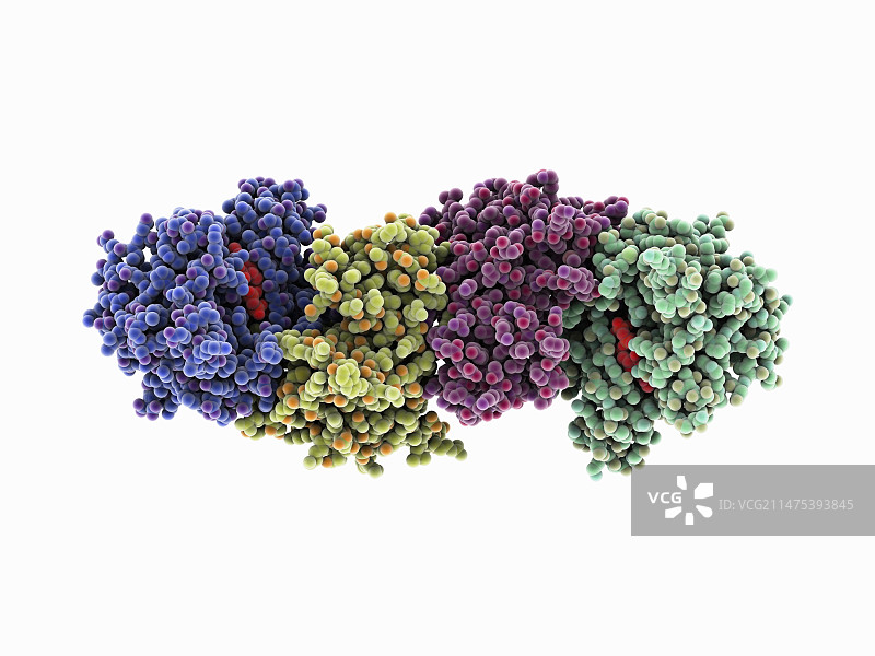 BRAF-MEK复合物图片素材