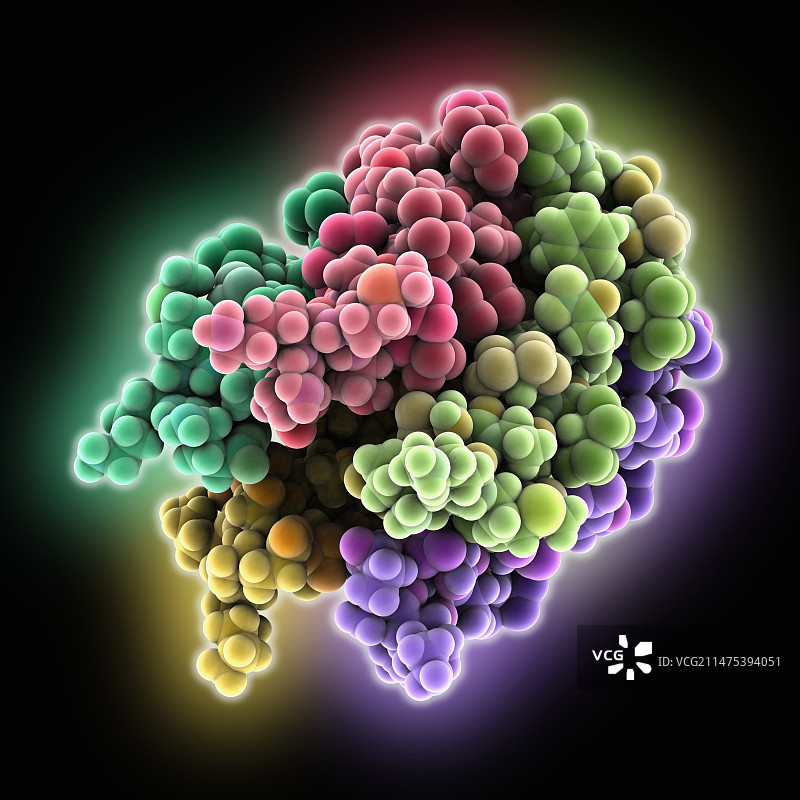 乙酰胆碱受体片段图片素材