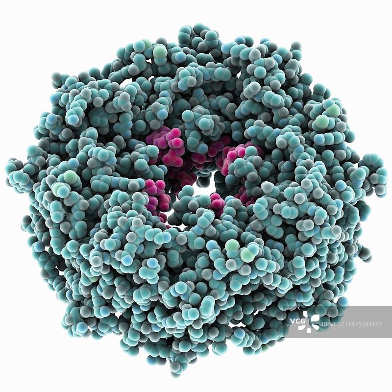 埃博拉病毒基质蛋白RNA复合物图片素材