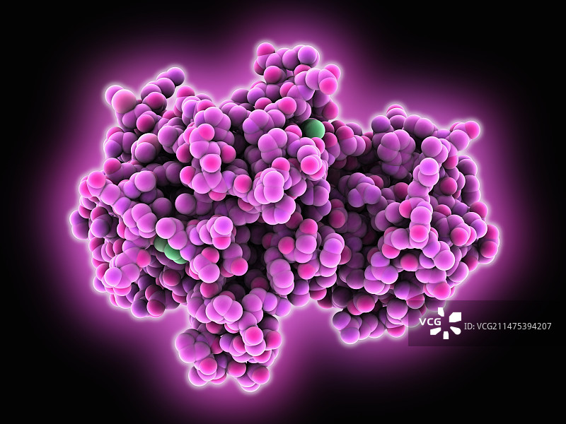 胰岛素受体的酪氨酸激酶图片素材