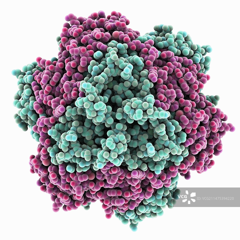 细菌锰过氧化氢酶分子图片素材