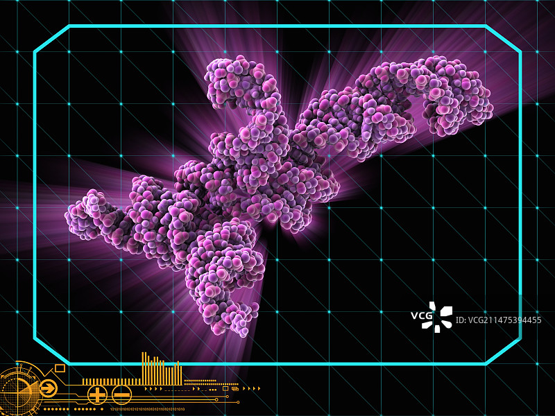 HIV-1 RNA包装分子图片素材