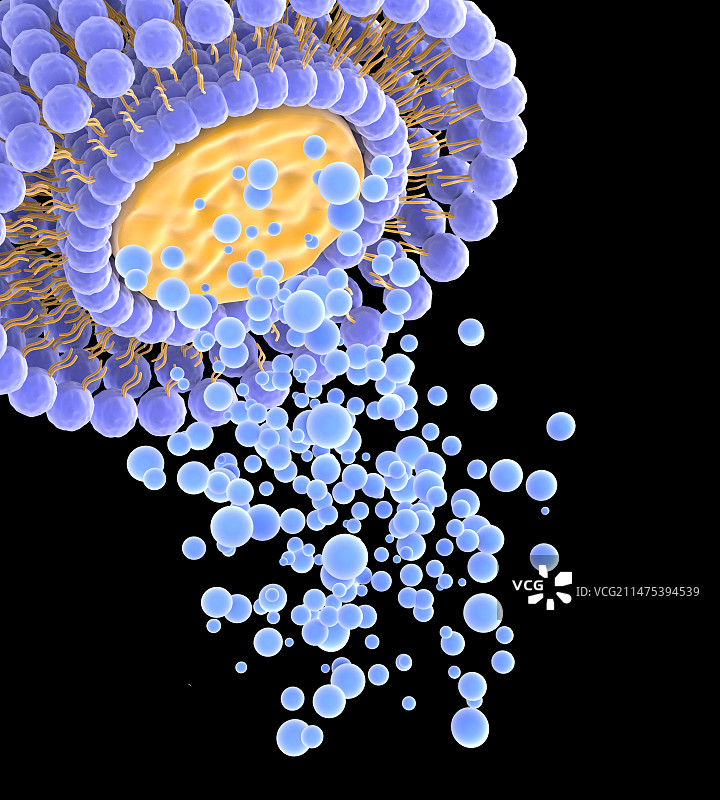 药物传递脂质体，艺术作品图片素材