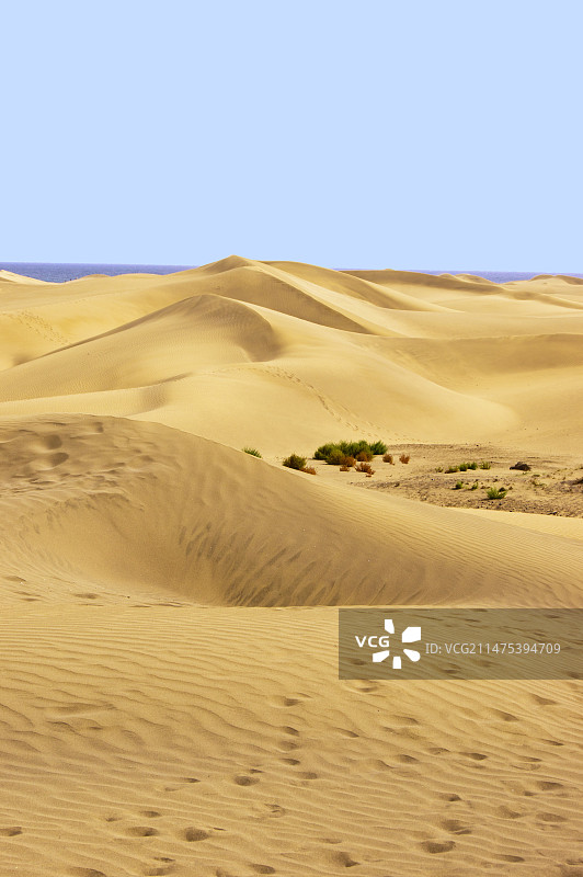 马斯帕洛马斯沙丘图片素材