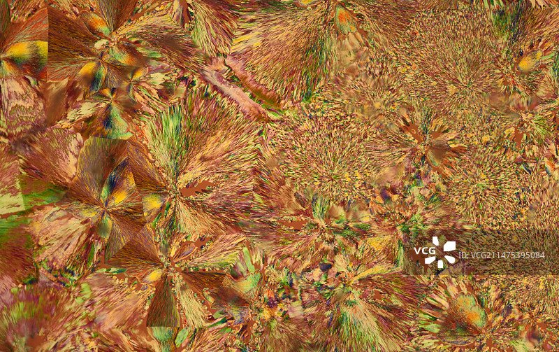 偏振光显微照片下的辛可尼丁图片素材