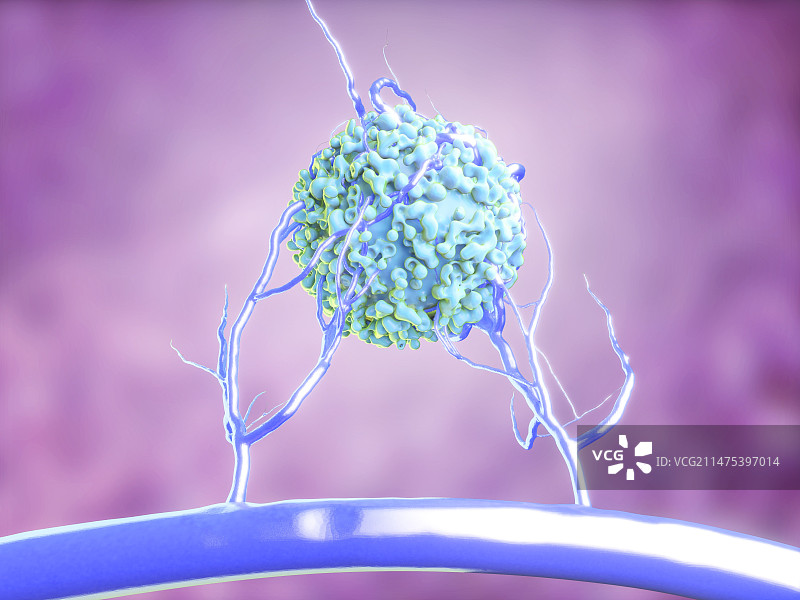 血管形成图示图片素材