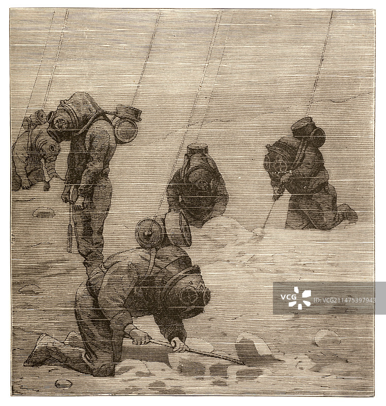 使用供气管的潜水员图片素材