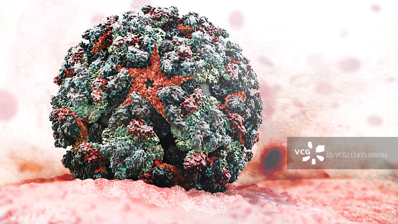 马亚罗病毒分子模型图片素材