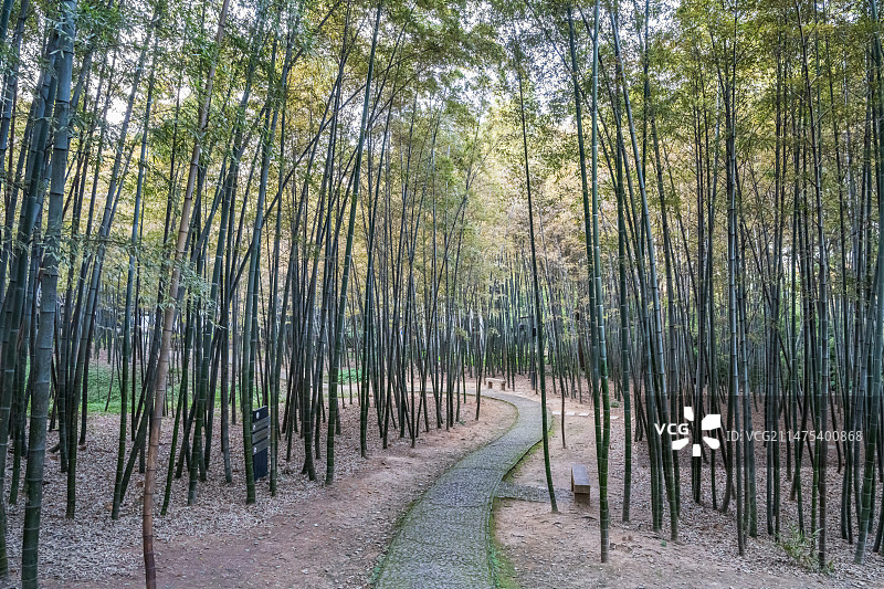 苏州虎丘山风景名胜区西溪环翠的篱门幽竹图片素材