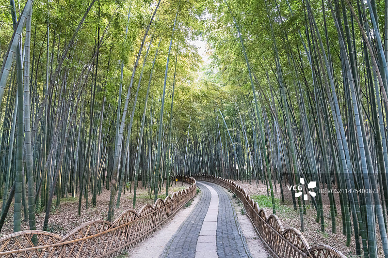 苏州虎丘山风景名胜区西溪环翠的篱门幽竹图片素材