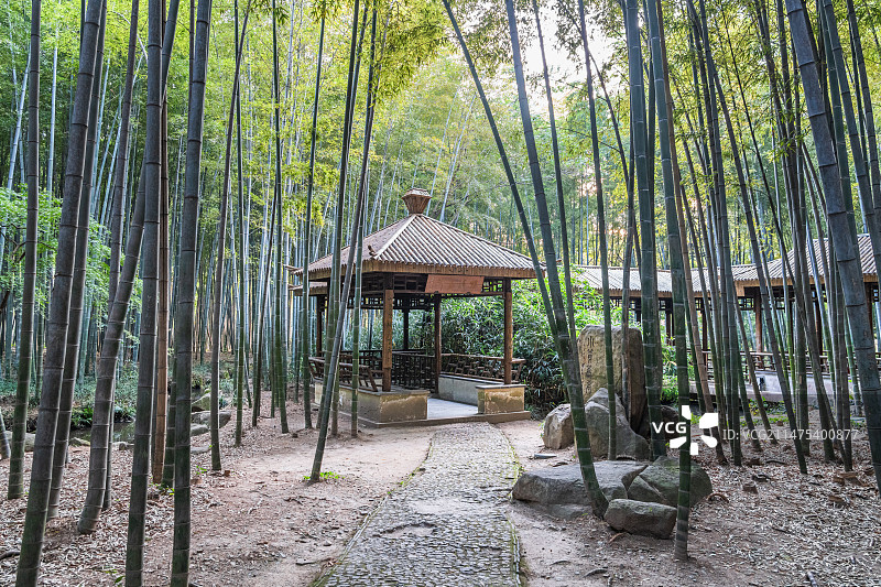 苏州虎丘山风景名胜区西溪环翠的篱门幽竹图片素材