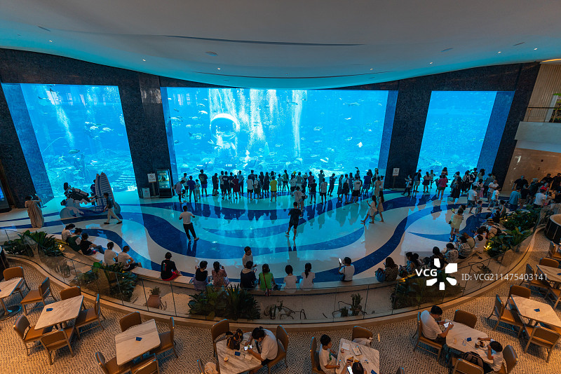 亚特兰蒂斯酒店水族馆图片素材