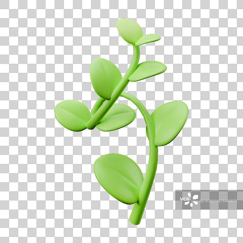 3D立体渲染素材生长的藤蔓叶子春天元素图片素材