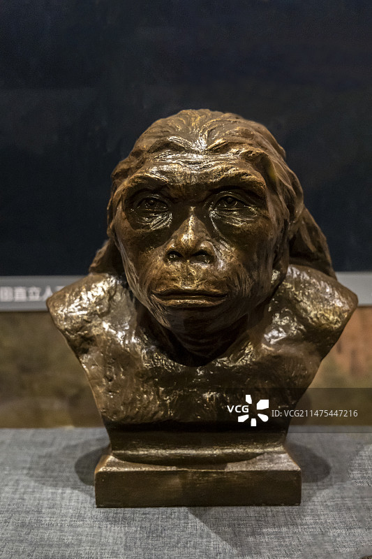 中国国家博物馆“东方故乡——中华大地百万年人类史”展：蓝田人复原像【陕西蓝田公王岭，早更新世】图片素材