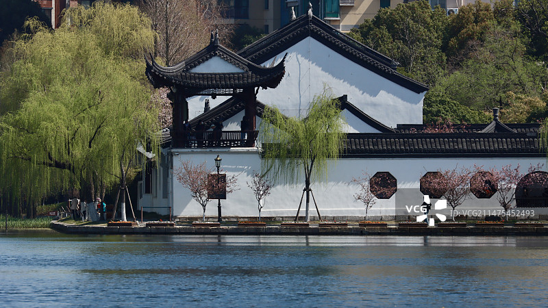 莫愁湖春光图片素材