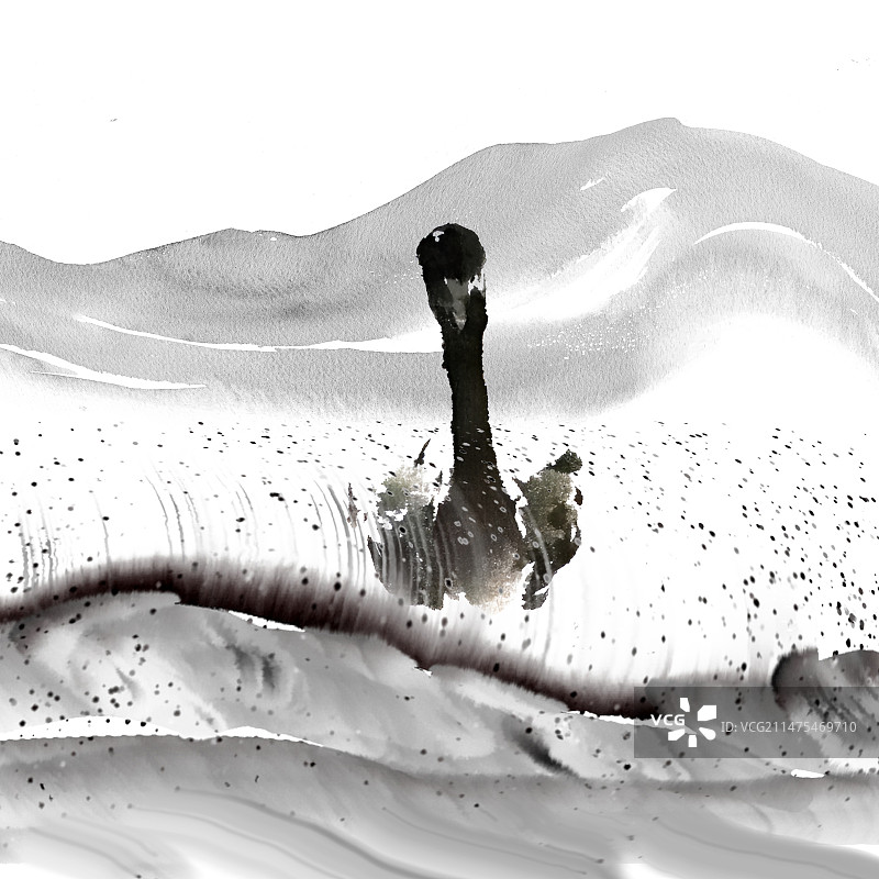 雪湖中的黑天鹅图片素材