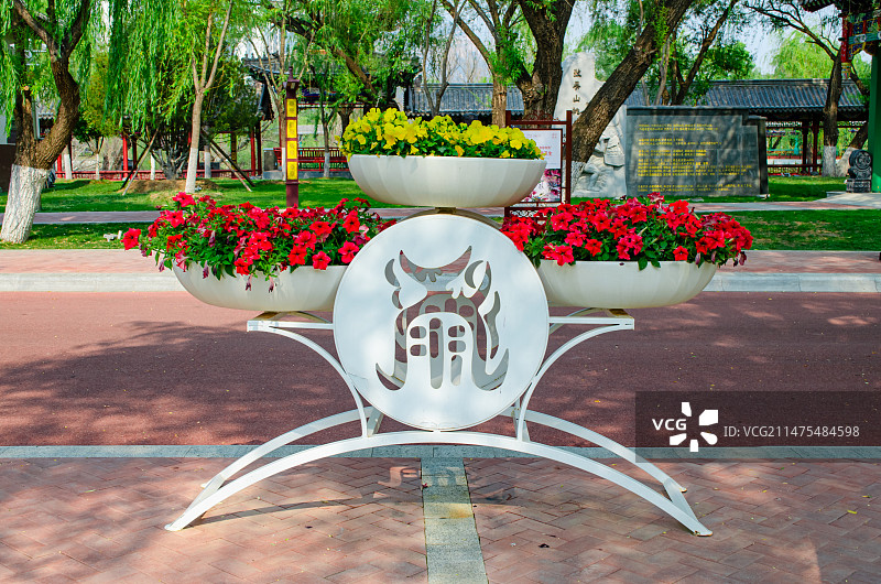 中国野生植物拍摄主题  ,春天的玉兰花植物树木，花坛里盛开了黄色的金娃娃萱草，户外白昼无人图像摄影图片素材