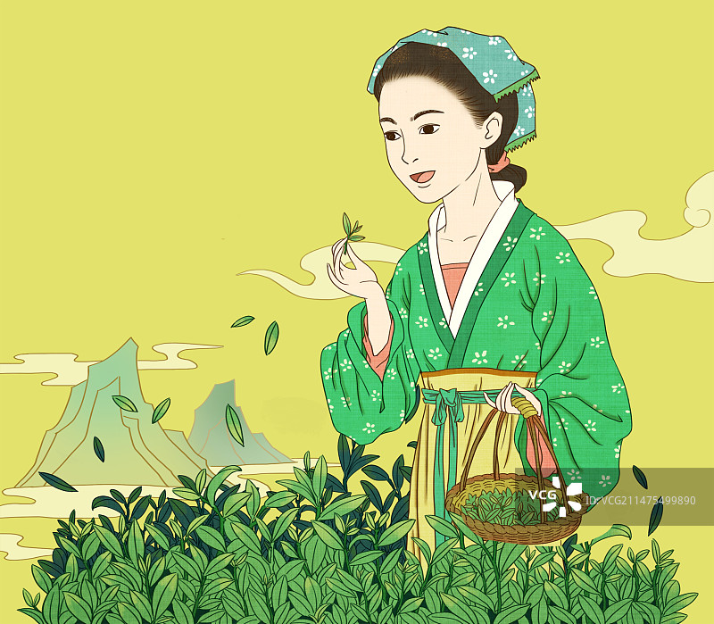 采茶图片素材