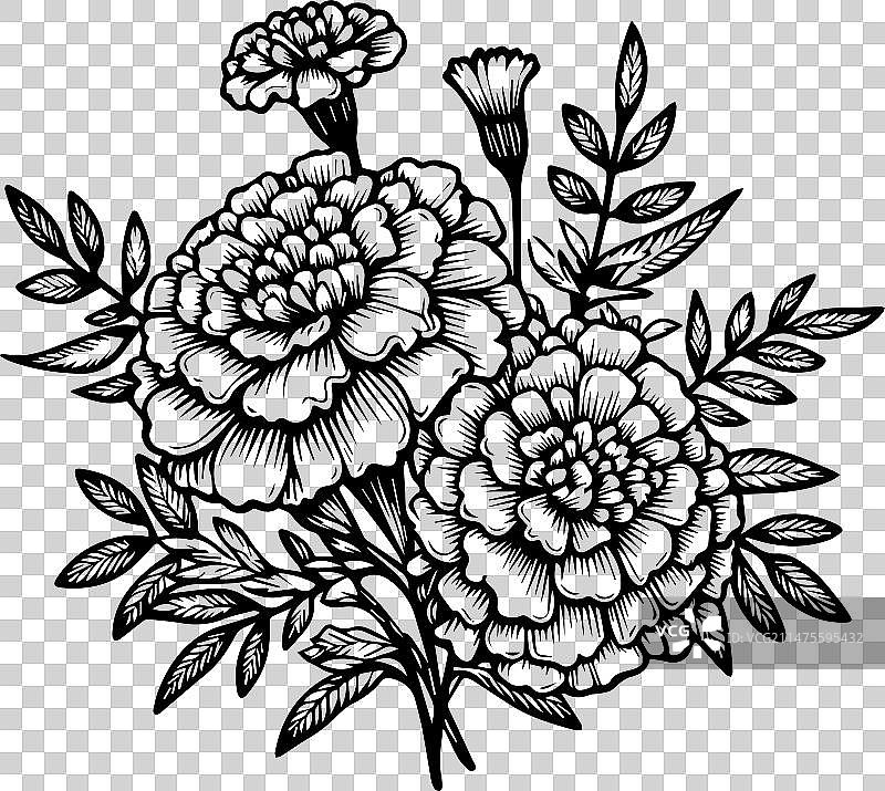 十月万寿菊花朵纹身图案图片素材