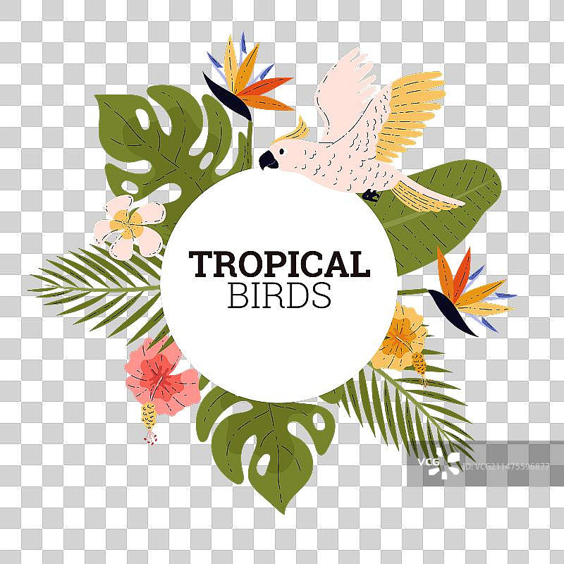 热带动植物标签天堂图片素材