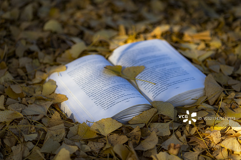 秋读图片素材