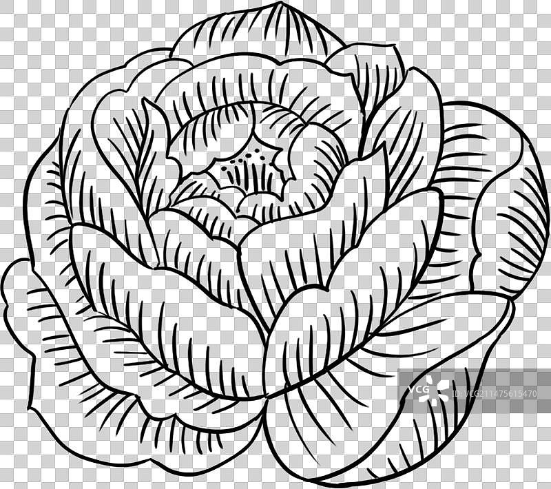 插画元素国潮风玫瑰牡丹线条图片素材