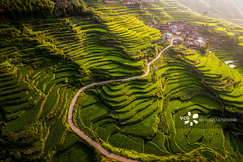 浦城县枫溪乡梯田航拍视角图片素材