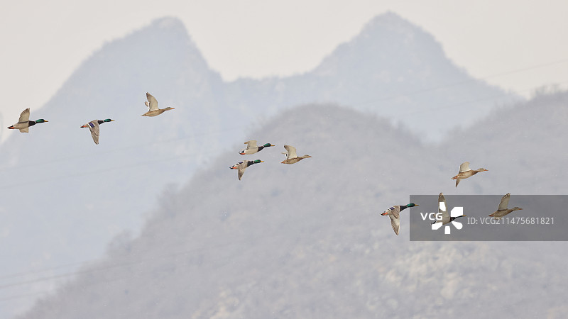飞越重山图片素材