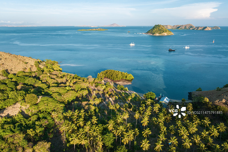印尼科莫多东努沙登加拉群岛热带雨林棕榈树航拍自然风光图片素材