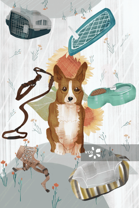 狗宠物用品插画GIF动图图片素材