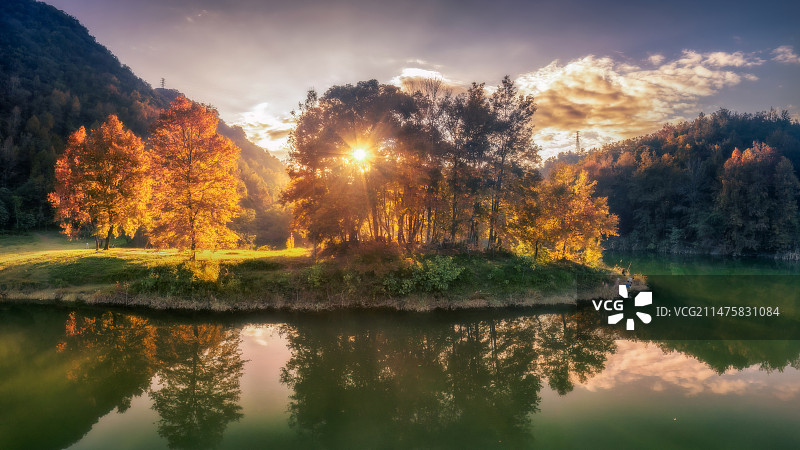 冬天的红枫叶图片素材