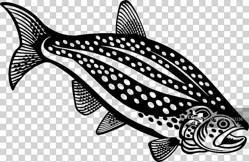 湖鳟鱼标志图片素材