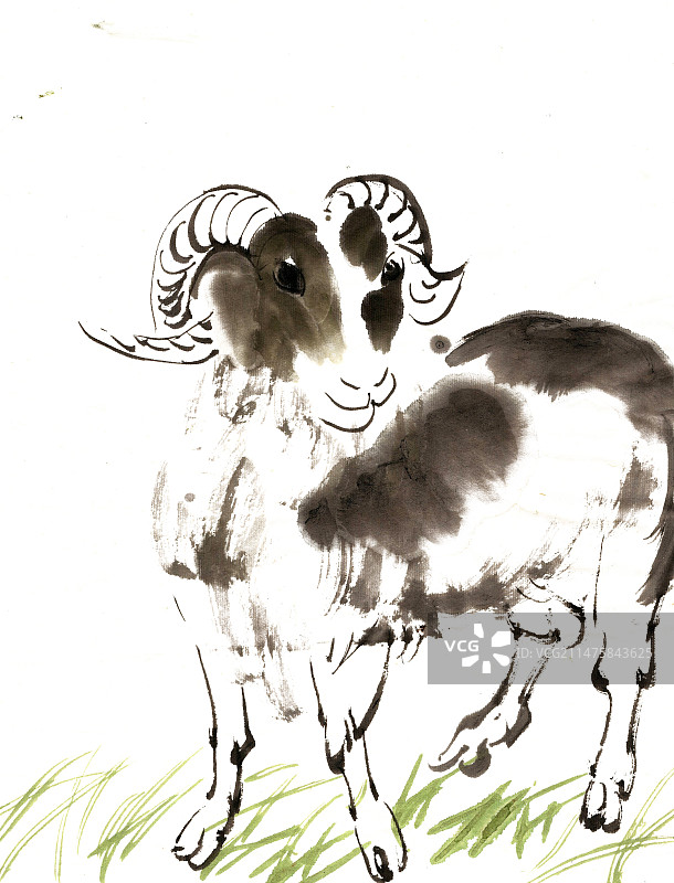 草地上的小羊图片素材