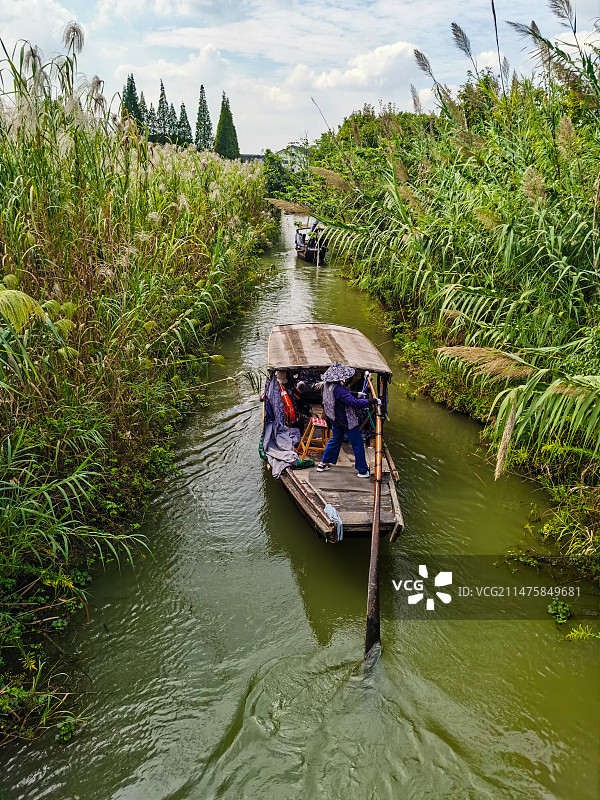 常州沙家浜芦苇荡摇橹船图片素材