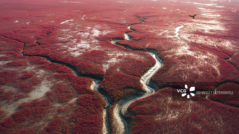 飞越红海滩图片素材