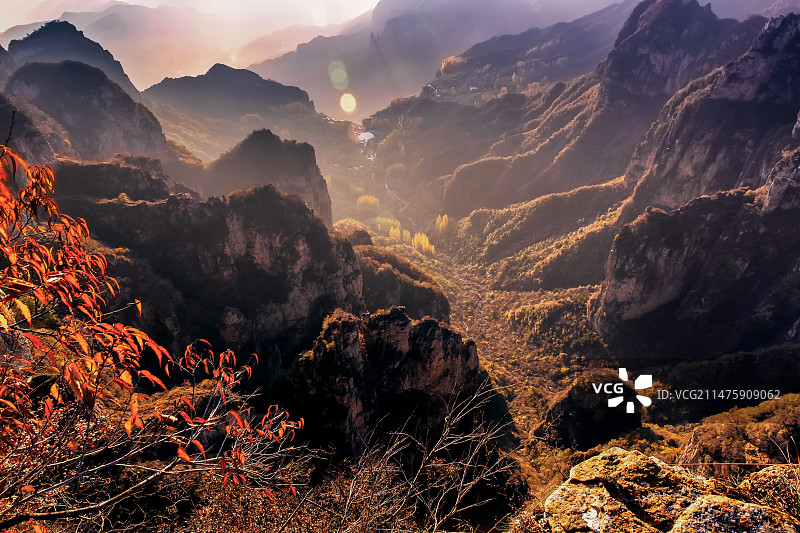 秋色满山谷图片素材