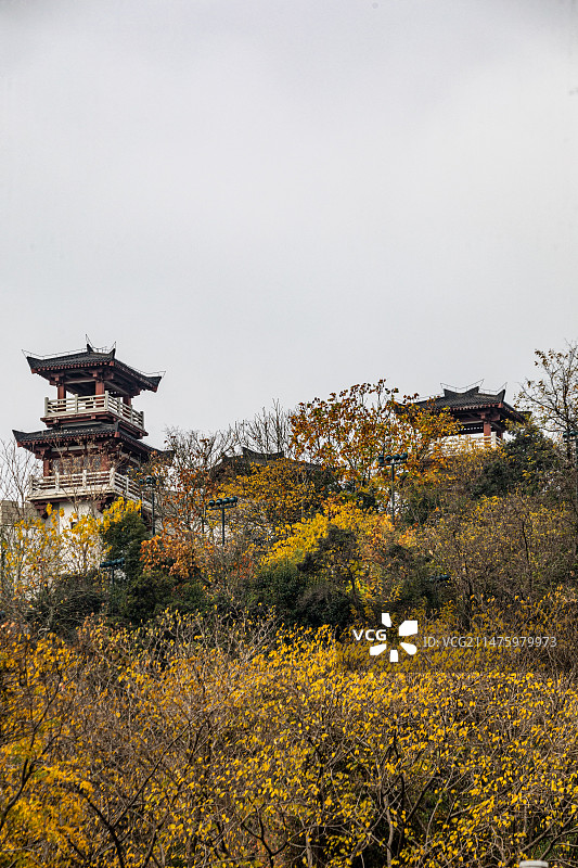 秋天季节的湖北武汉黄鹤楼长江大桥蛇山首义公园龟山公园铁门关晴川阁白云阁龟山电视塔自然建筑景观图片素材