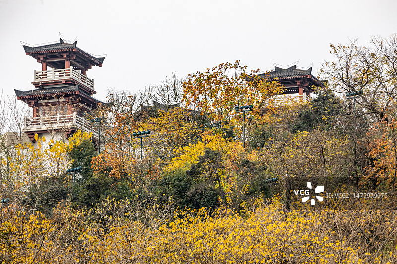 秋天季节的湖北武汉黄鹤楼长江大桥蛇山首义公园龟山公园铁门关晴川阁白云阁龟山电视塔自然建筑景观图片素材