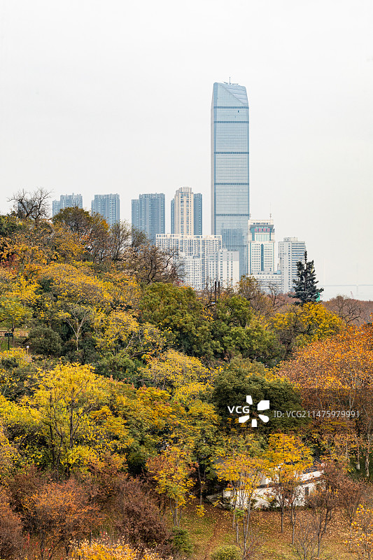 秋天季节的湖北武汉黄鹤楼长江大桥蛇山首义公园龟山公园铁门关晴川阁白云阁龟山电视塔自然建筑景观图片素材