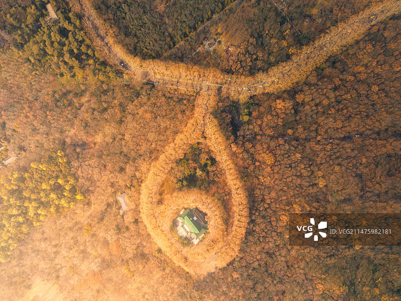 深秋之链图片素材