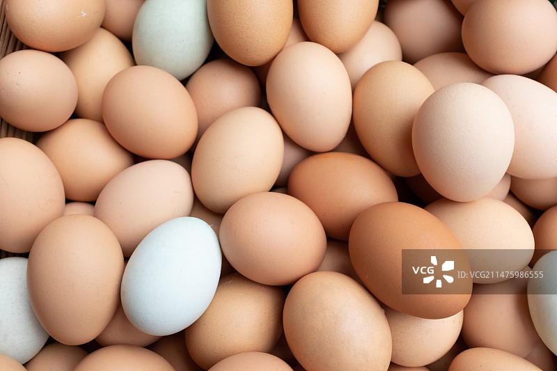 农家土鸡蛋图片素材