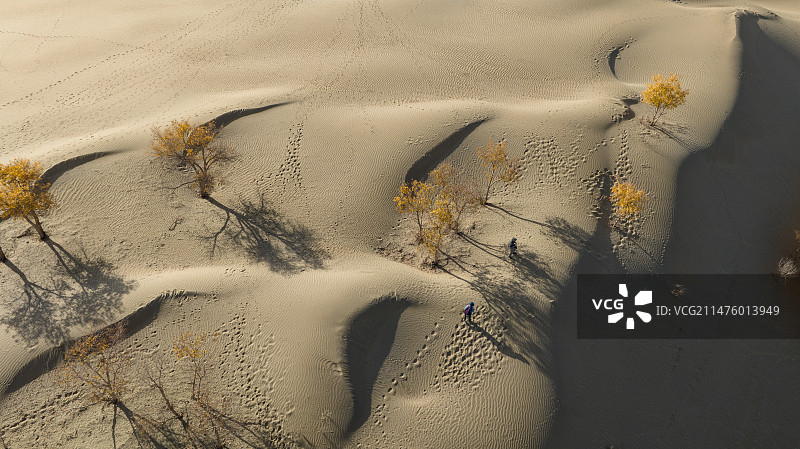 2023.10.25航拍新疆巴州尉犁县清水湾沙漠区图片素材