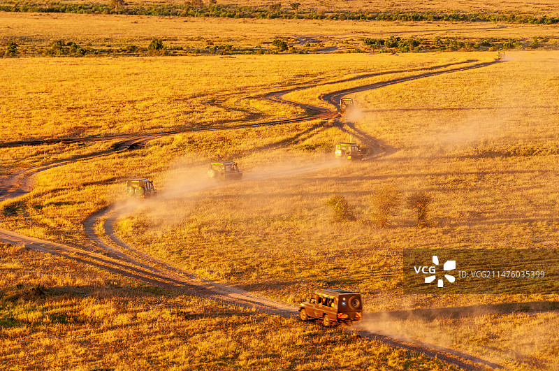 赶路 Hurry On Safari图片素材