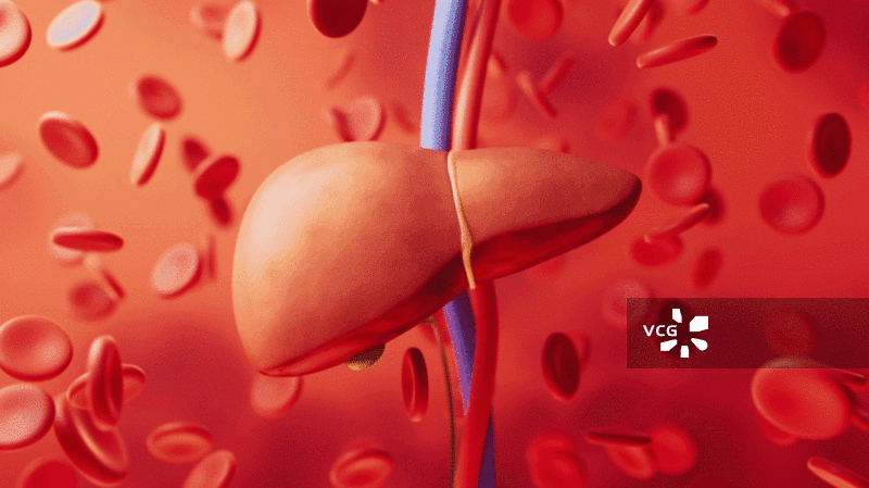 脂肪肝与生物医学3D渲染图片素材